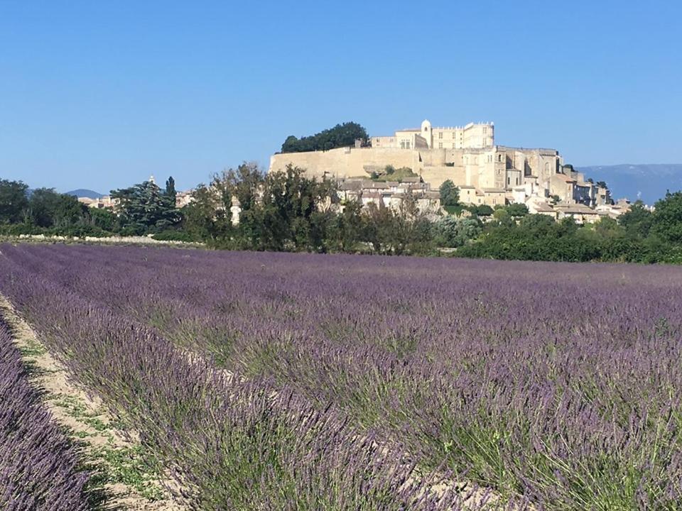 Le Mas Du Pigeonnier Reauville Bagian luar foto