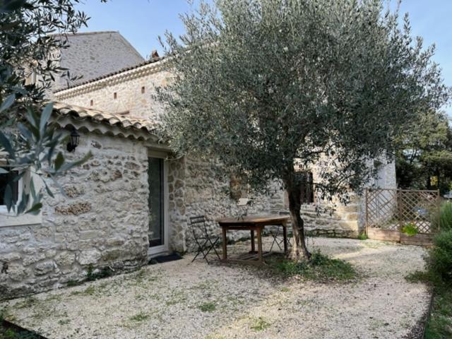 Le Mas Du Pigeonnier Reauville Bagian luar foto